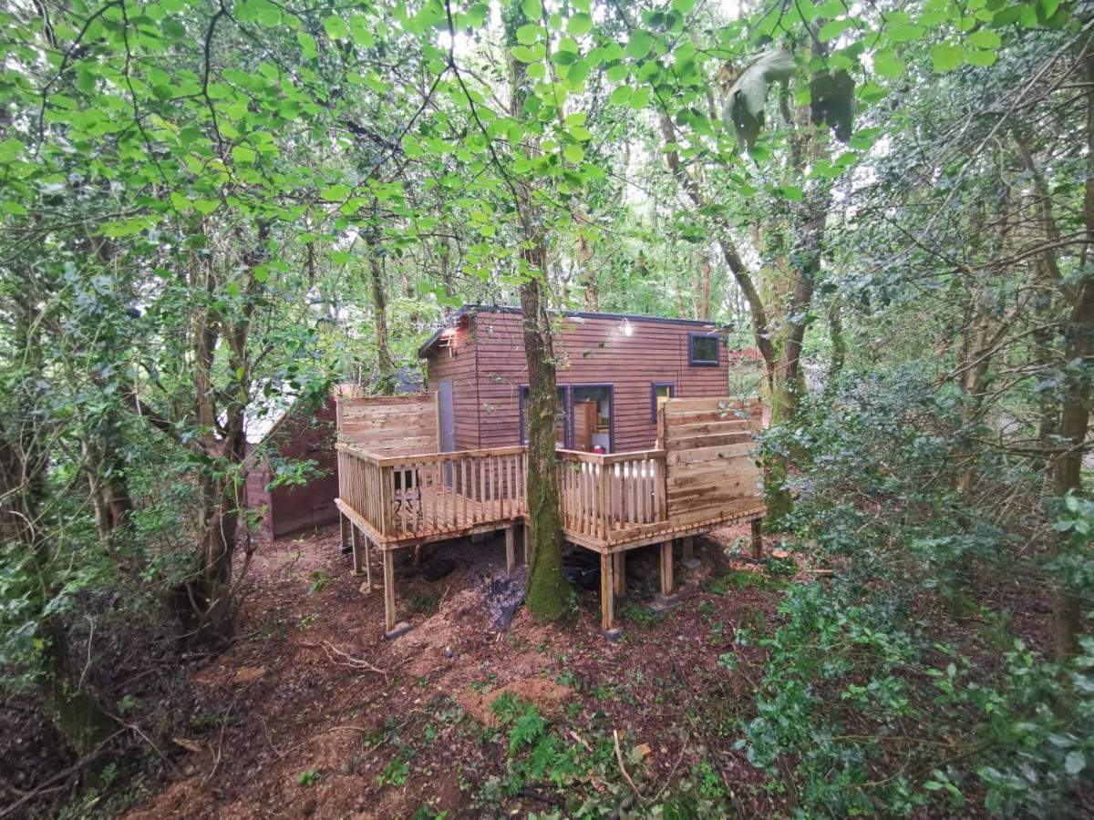 Tiny House-hot Tub-st Clears-pembrokeshire-tenby Carmarthen