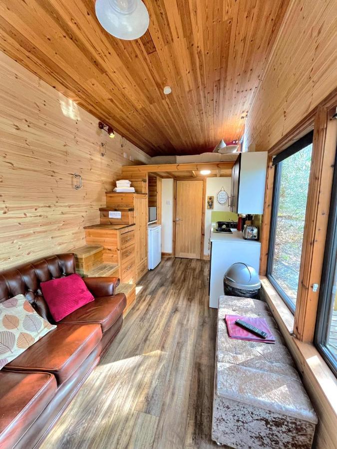 Chalet Tiny House-hot Tub-st Clears-pembrokeshire-tenby